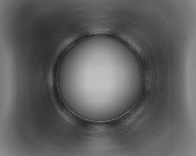 X0000111130631200907071018