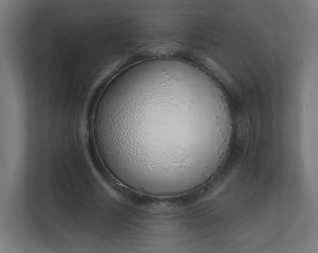 X0000111130634200907071018