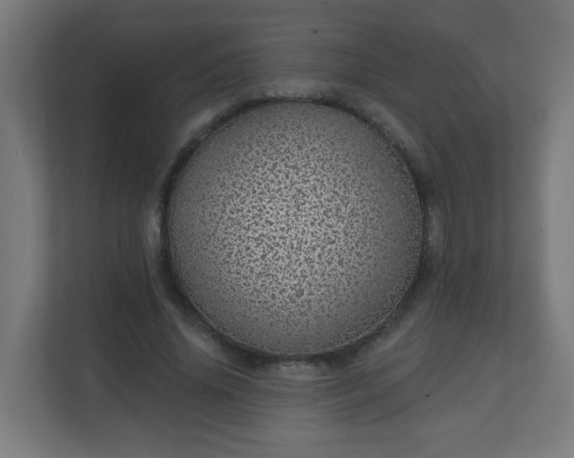 X0000111130636200907071018