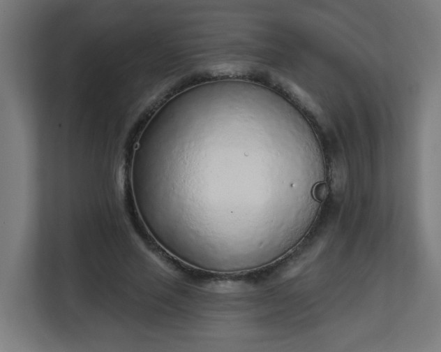 X0000111130637200907071018