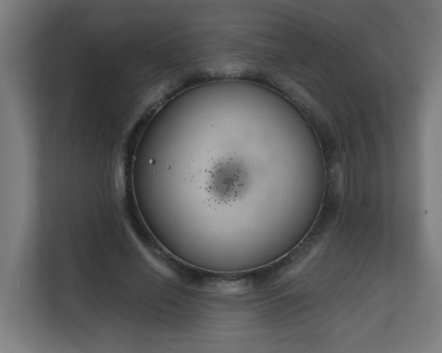 X0000111130638200907071018