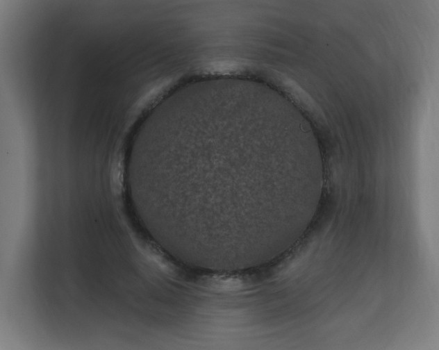 X0000111130640200907071018