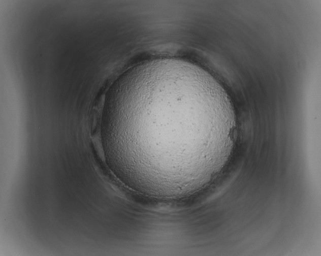 X0000111130641200907071018