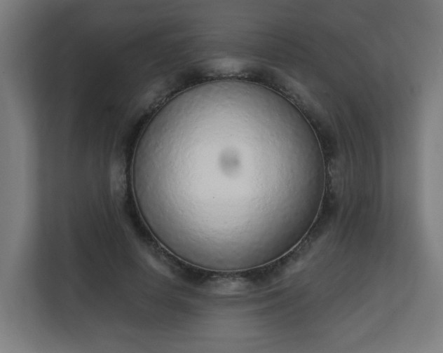 X0000111130642200907071018