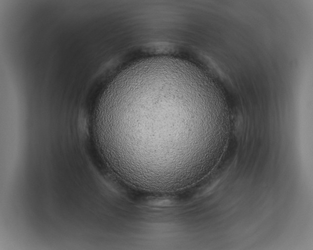 X0000111130643200907071018