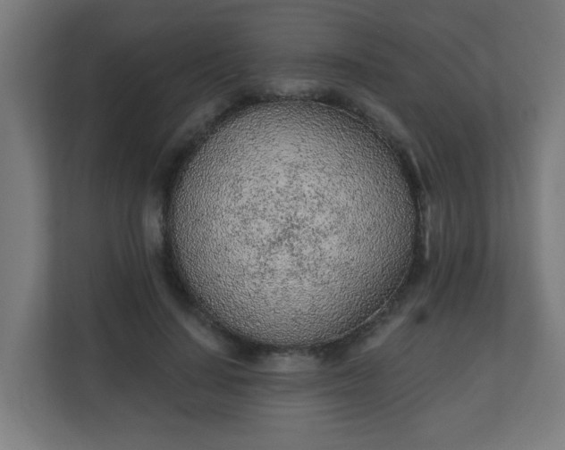 X0000111130644200907071018