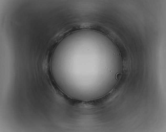 X0000111130648200907071018