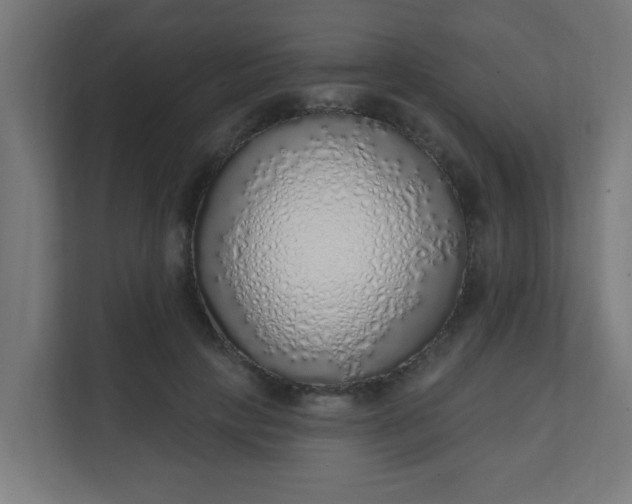 X0000111130649200907071018