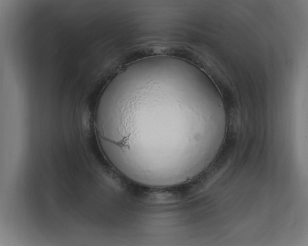 X0000111130650200907071018