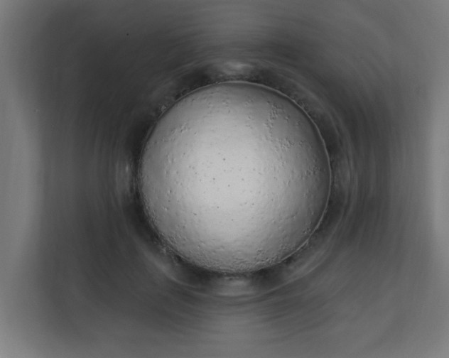 X0000111130651200907071018