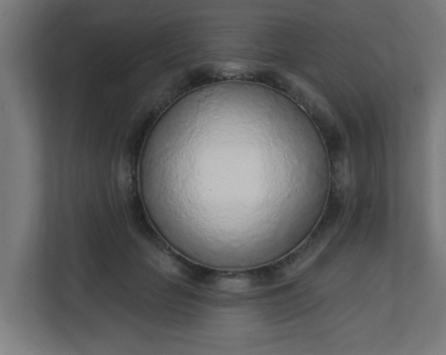 X0000111130653200907071018