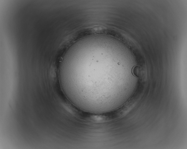 X0000111130654200907071018