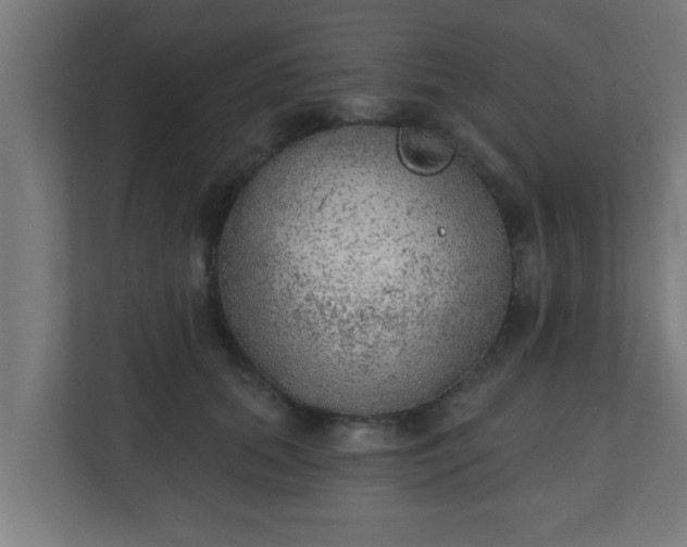X0000111130655200907071018