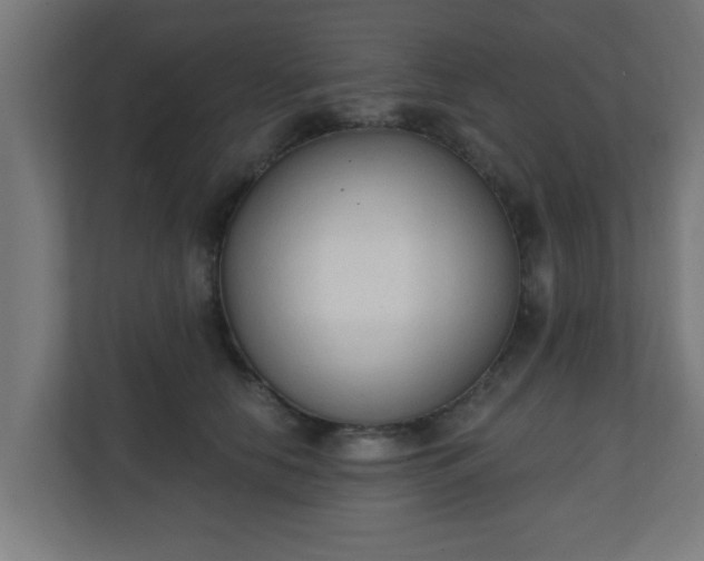 X0000111130658200907071019