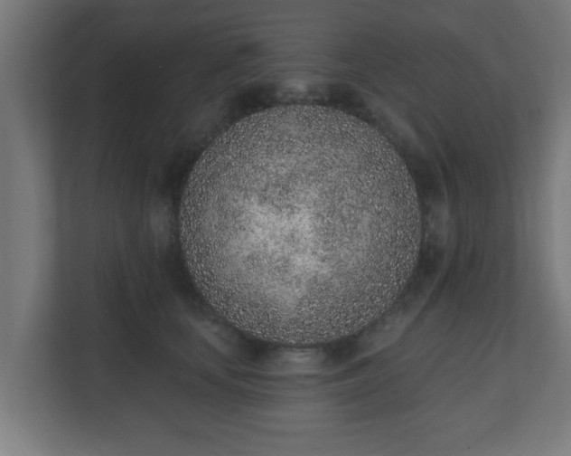 X0000111130659200907071019