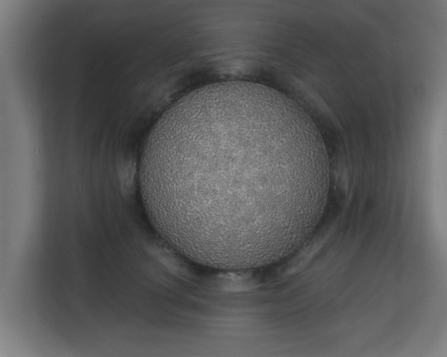 X0000111130660200907071019