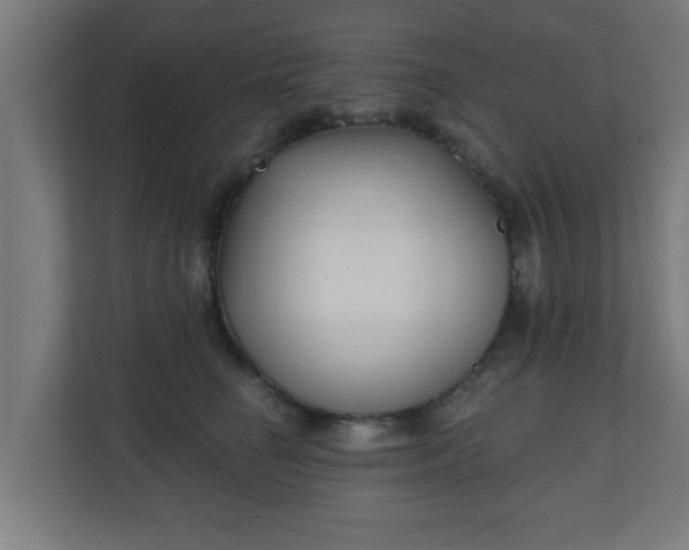 X0000111130662200907071019
