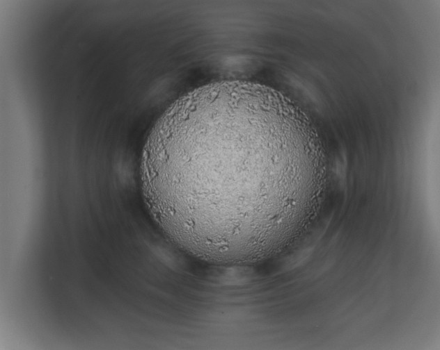 X0000111130663200907071019