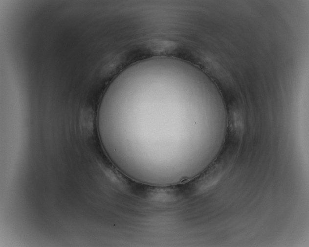 X0000111130664200907071019