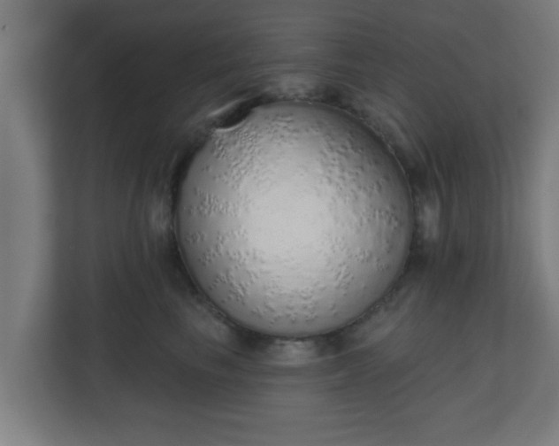 X0000111130665200907071019