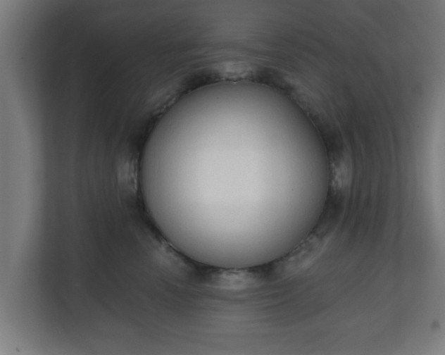X0000111130666200907071019