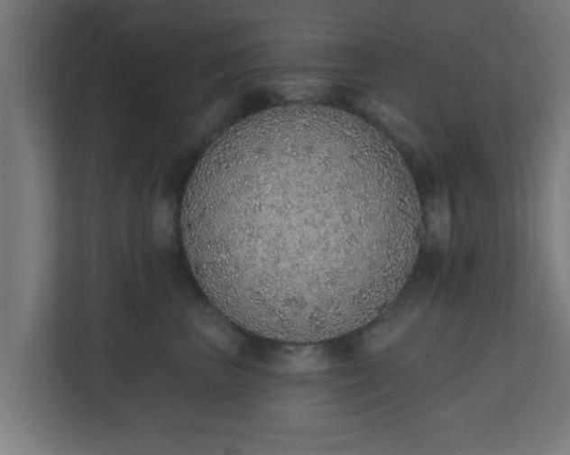 X0000111130667200907071019