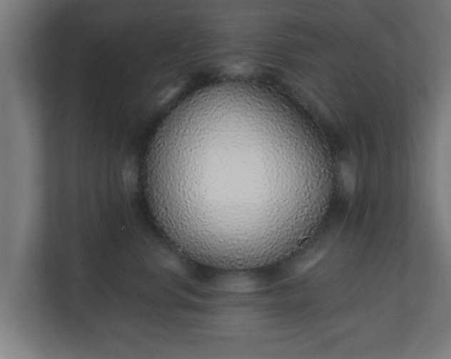 X0000111130668200907071019