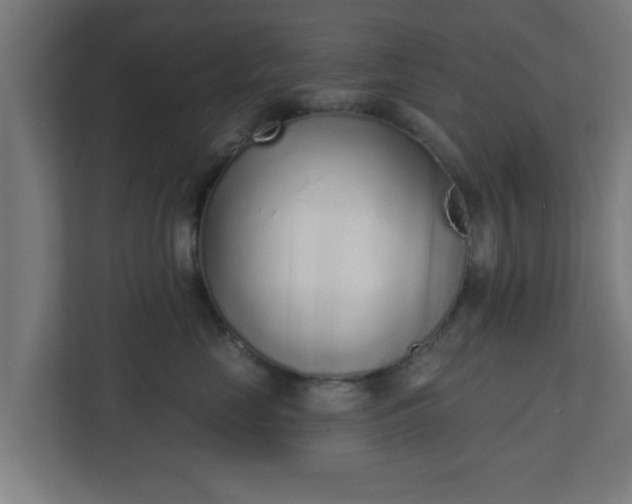 X0000111130669200907071019