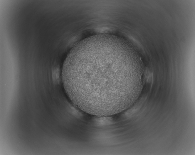 X0000111130670200907071019