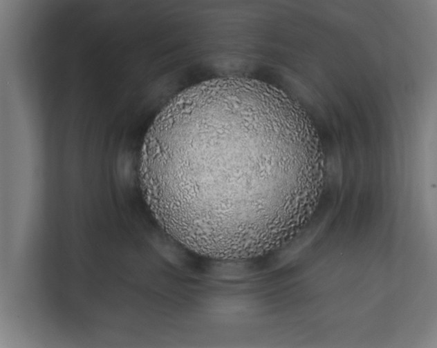 X0000111130671200907071019