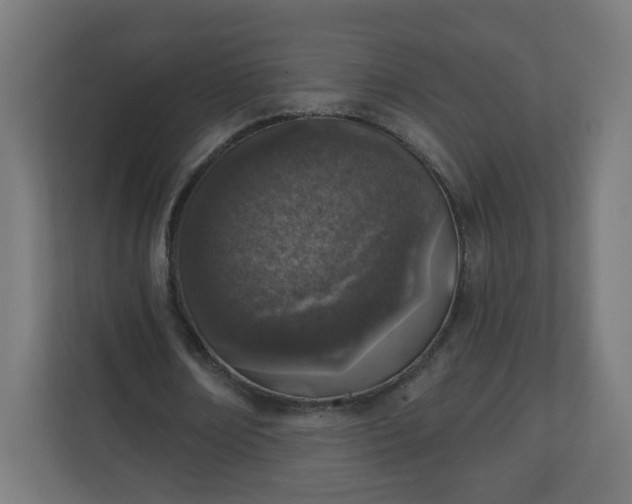 X0000111130674200907071018