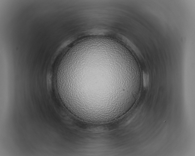 X0000111130675200907071018