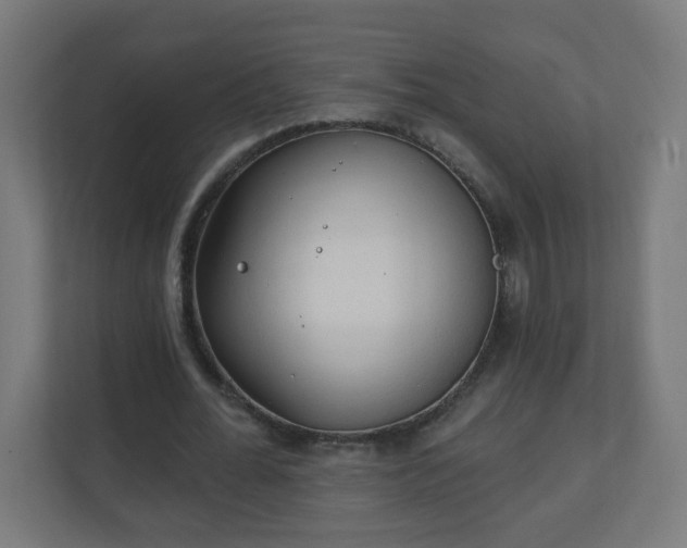 X0000111130676200907071018