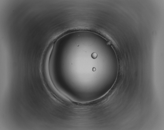 X0000111130677200907071018