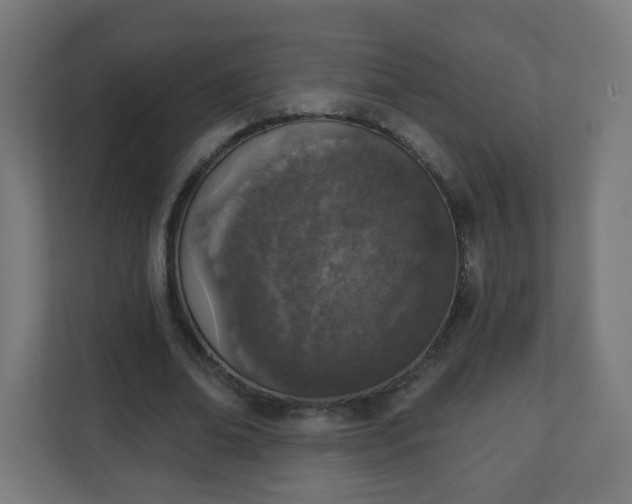 X0000111130678200907071018