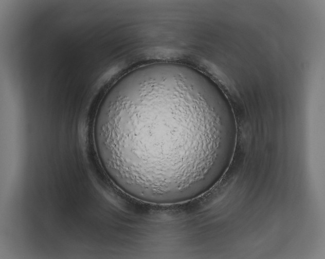 X0000111130679200907071018