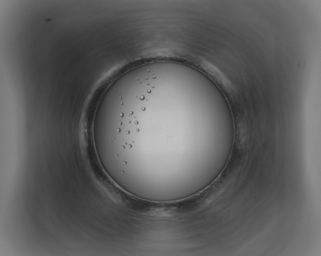 X0000111130680200907071018