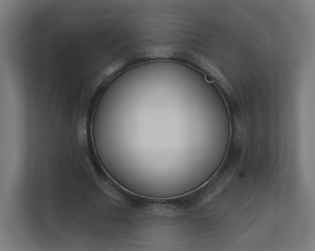 X0000111130681200907071018