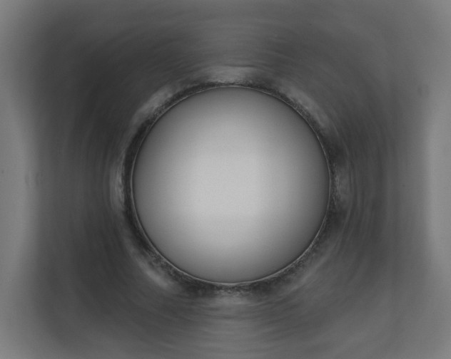 X0000111130682200907071018