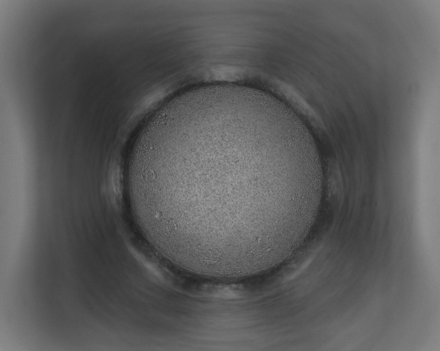 X0000111130683200907071018
