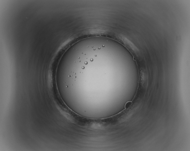 X0000111130684200907071018