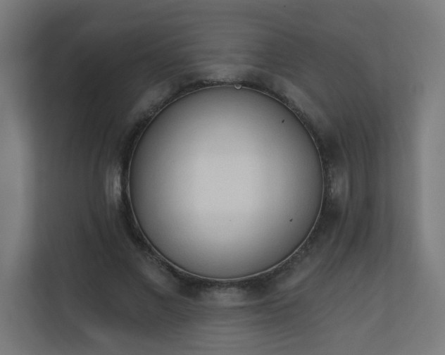 X0000111130685200907071018