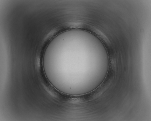 X0000111130686200907071018
