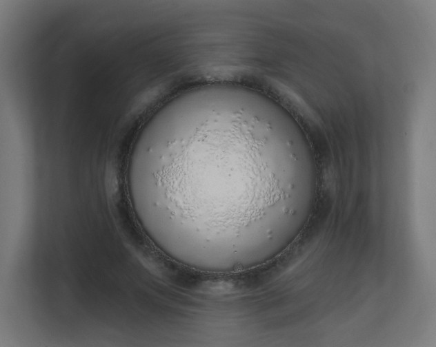 X0000111130687200907071018