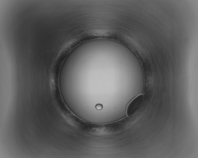 X0000111130688200907071018