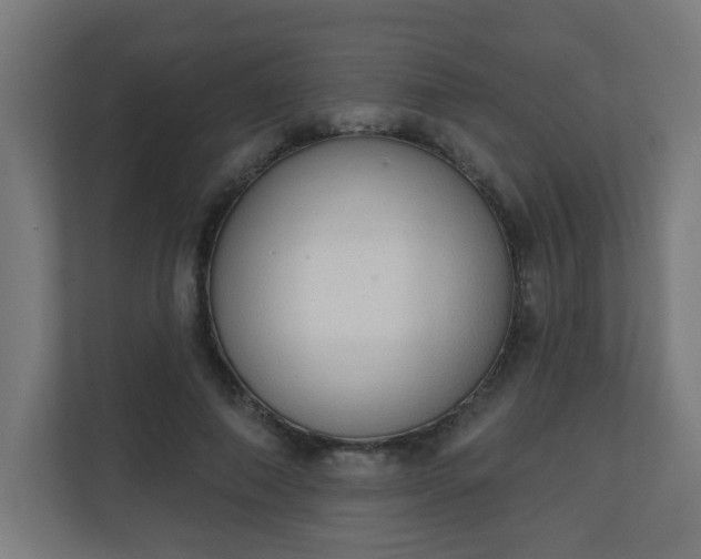 X0000111130690200907071018