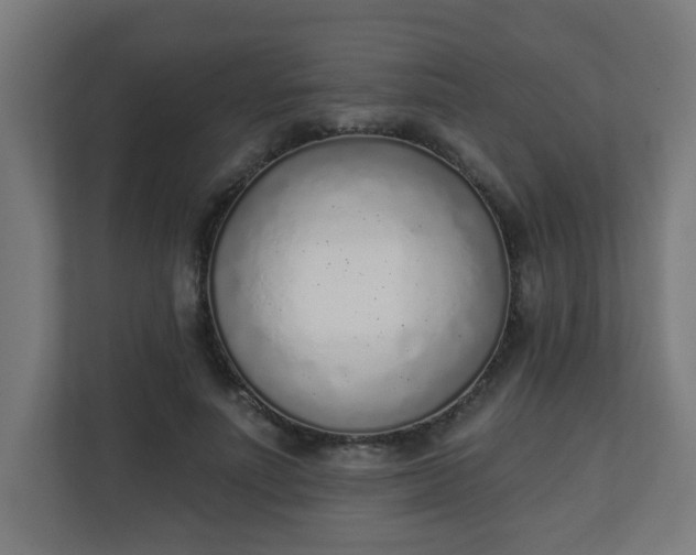 X0000111130691200907071018