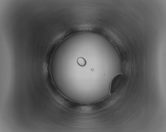 X0000111130692200907071018