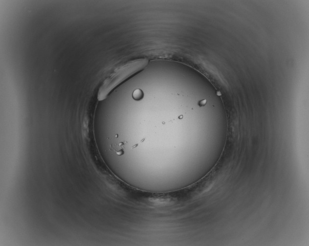 X0000111130693200907071018
