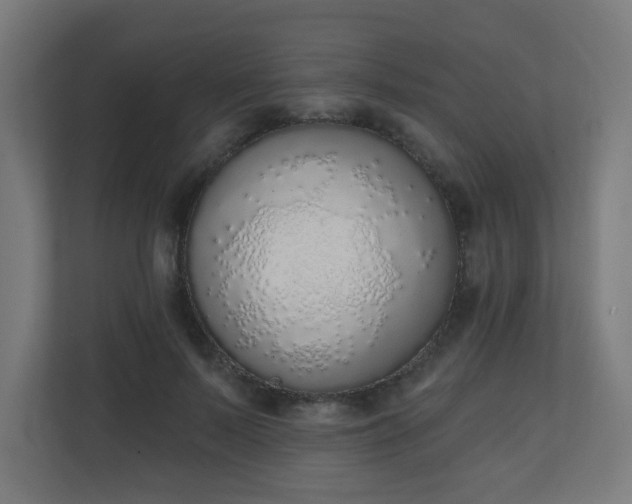 X0000111130695200907071018